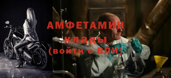 Альфа ПВП Аркадак
