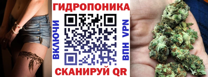 Бошки марихуана конопля  Таруса 